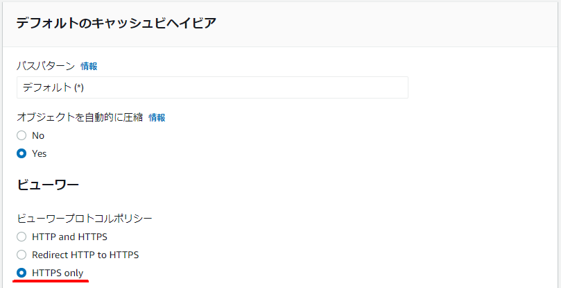 HTTPS onlyを選択